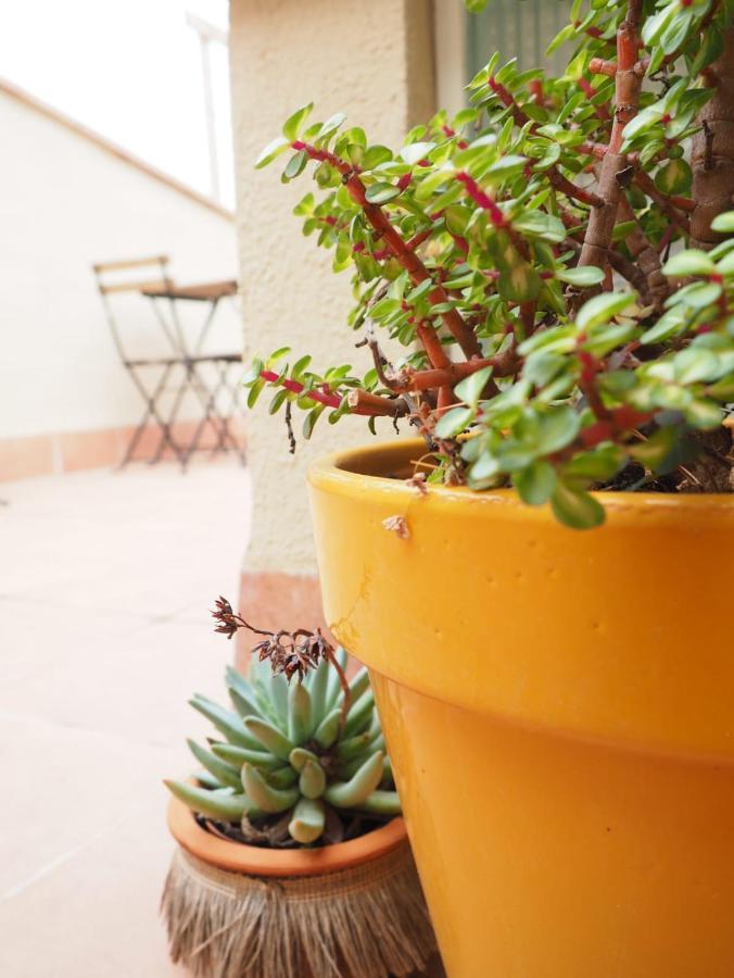 Apartaments La Rambla - Licorella - 4 Persones Cornudella de Montsant Exterior photo